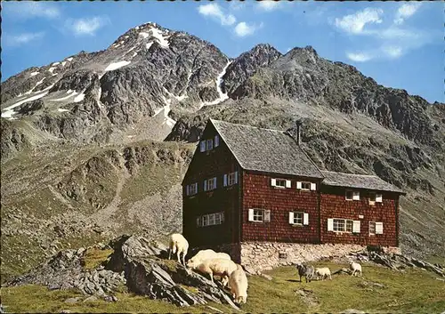Lienz Tirol Hochschober Huette Schafe Kat. Lienz