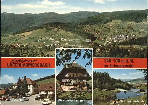 Unterharmersbach Forellenteich Fuerstenberger Hof Rathausplatz Kat. Zell am Harmersbach