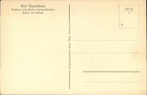 Bad Rippoldsau Schwarzwald Asbach Gasthaus Pension Holzwaelderhoehe Kat. Bad Rippoldsau Schapbach