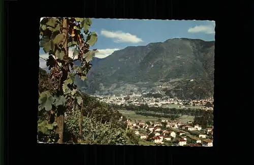 Bellinzona Blick von den Weinbergen Kat. Bellinzona