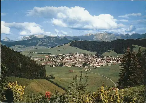 Einsiedeln SZ Panorama mit Alpenblick / Einsiedeln /Bz. Einsiedeln