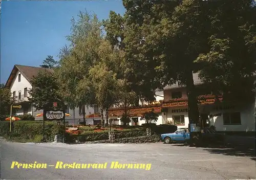Miesenbach Niederoesterreich Pension Restaurant Hornung Kat. Miesenbach