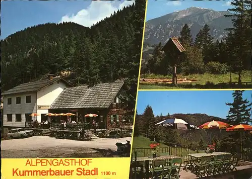 Trattenbach Alpengasthof Kummerbauer Stadl Terrasse Wegekreuz Alpenblick Kat. Trattenbach am Wechsel