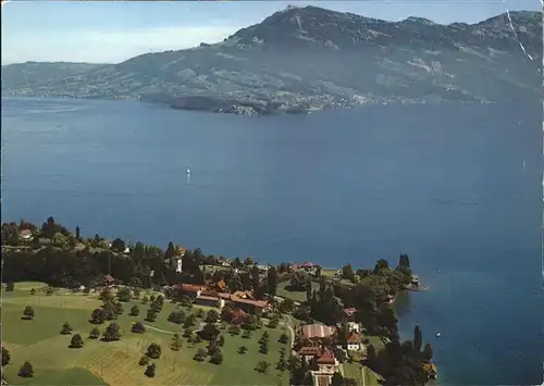 Kastanienbaum Kurheim St. Chrischona Vierwaldstaettersee Fliegeraufnahme Kat. Kastanienbaum