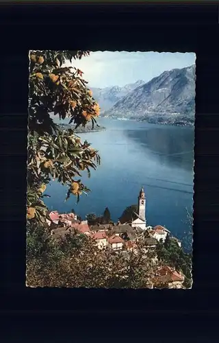 Ronco TI Ortsansicht mit Kirche Lago Maggiore / Ronco /Bz. Locarno