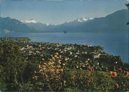 Vevey VD Lac Leman et les Dents du Midi Sommerfrische Kat. Vevey