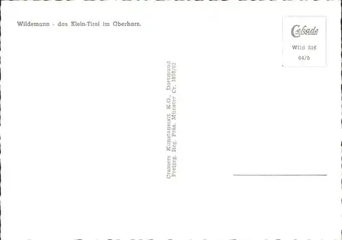 Wildemann Fliegeraufnahme Klein Tirol im Oberharz Kat. Wildemann Harz