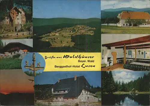 Waldhaeuser Neuschoenau Berggasthof Lusen Kat. Neuschoenau