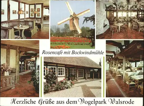 Walsrode Lueneburger Heide Vogelpark Rosencafe mit Bockwindmuehle Kat. Walsrode