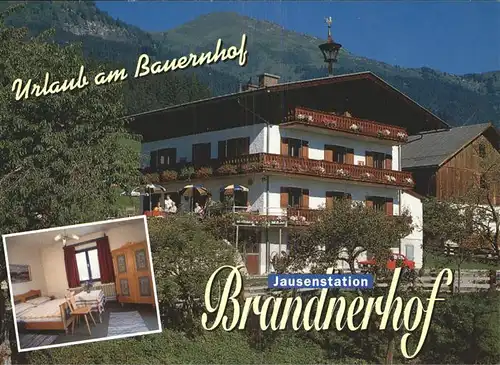 Bad Hofgastein Salzburg Jausenstation Brandnerhof Kat. Bad Hofgastein