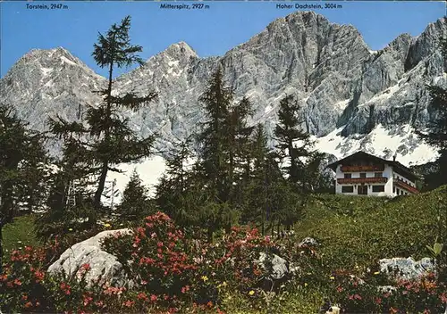 Ramsau Dachstein Steiermark Berghotel Tuerlwand mit Dachsteinsuedwand Kat. Ramsau am Dachstein