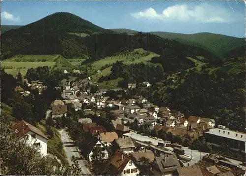 Bad Peterstal-Griesbach Panorama   / Bad Peterstal-Griesbach /Ortenaukreis LKR