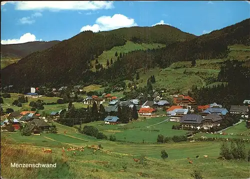 Menzenschwand Panorama mit Feldberg Kat. St. Blasien
