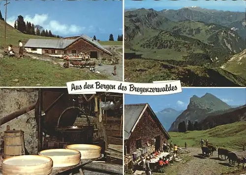 Mellau Vorarlberg Panorama mit Wildguntenalpe Kaeserei Kat. Mellau