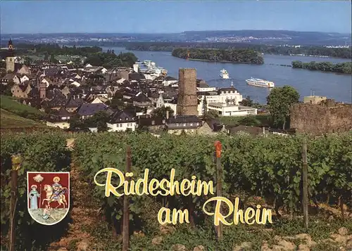 Ruedesheim Rhein Panorama   Kat. Ruedesheim am Rhein