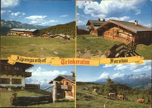 Forstau Alpengasthof Trinkeralm Brunnen Viehherde Kat. Forstau