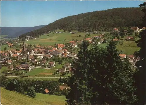 Baiersbronn Schwarzwald Panorama Kat. Baiersbronn