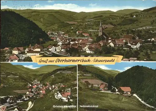 Oberharmersbach Panorama mit Riersbach und Jedensbachtal Kat. Oberharmersbach