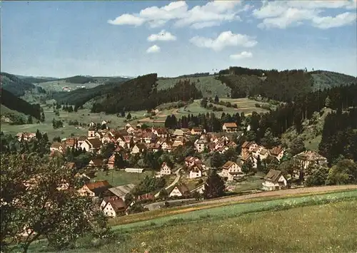 Lenzkirch Panorama Kat. Lenzkirch