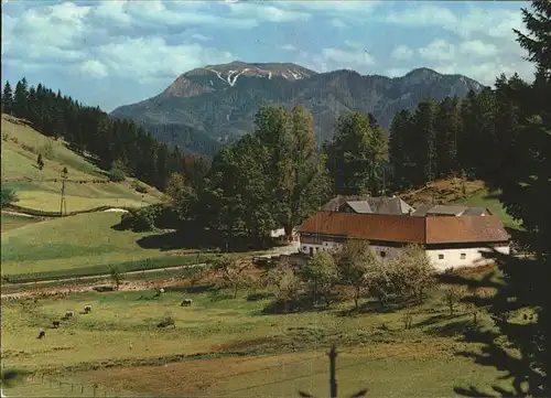 Rohr Gebirge Alpengasthof zur Kalten Kuchl mit Schneeberg Kat. Rohr im Gebirge