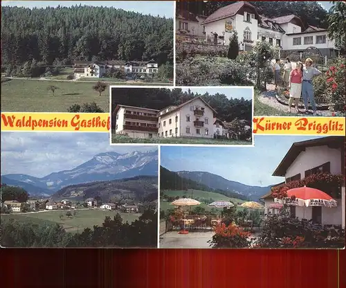 Prigglitz Waldpension Gasthof Kuerner Terrasse Panorama Kat. Prigglitz