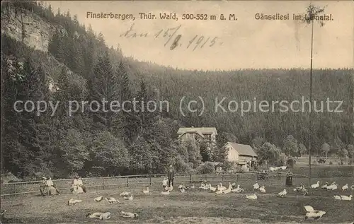 Finsterbergen Gaenseliesl  Kat. Finsterbergen Thueringer Wald