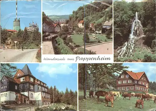 Pappenheim Thueringen Gr Inselsberg Trusetaler Wasserfall Platz des DSF Spiessberghaus Pferdeherde Kat. Floh Seligenthal