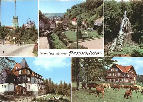 Pappenheim Thueringen Gr Inselsberg Trusetaler Wasserfall Platz des DSF Spiessberghaus Pferdeherde Kat. Floh Seligenthal