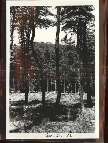 Inselsberg Schmalkalden Waldpartie Kat. Schmalkalden