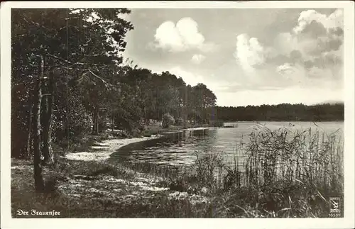 Prieros Uferpartie am Frauensee Kat. Heidesee