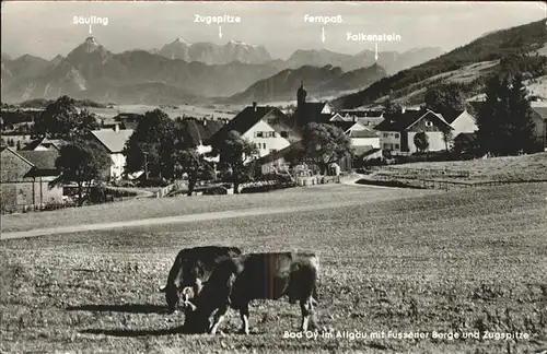 Bad Oy Panorama mit Fuessener Berge und Zugspitze Kuh Kat. Oy Mittelberg
