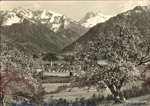 Oberstdorf Blick vom Jaegersberg Allgaeuer Alpen Baumbluete Kat. Oberstdorf