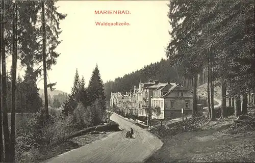 Marienbad Tschechien Waldquellzeile Boehmen handkolorierte Kuenstlerkarte Kat. Marianske Lazne