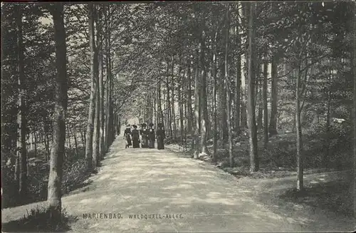 Marienbad Tschechien Waldquell Allee Boehmen Kat. Marianske Lazne