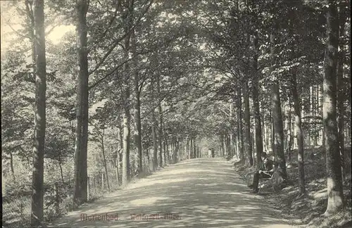 Marienbad Tschechien Waldquell Allee Boehmen Kat. Marianske Lazne