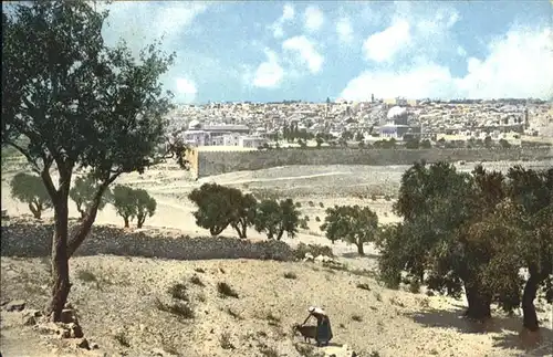 Jerusalem Yerushalayim Jerusalem Olivet Oelberg Mont Oliviers * / Israel /