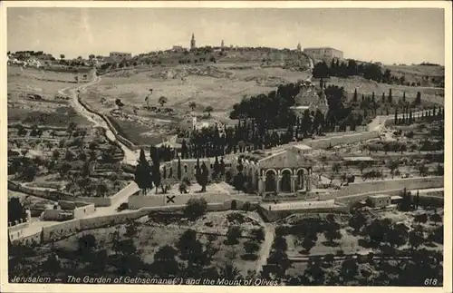 Jerusalem Yerushalayim Jerusalem Garden Gethsemane Mount Olivers * / Israel /