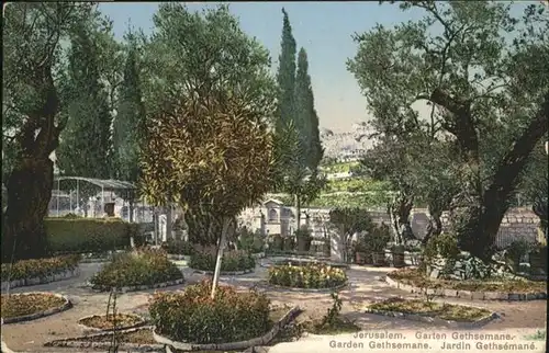 Jerusalem Yerushalayim Gaten Gethsemane / Israel /