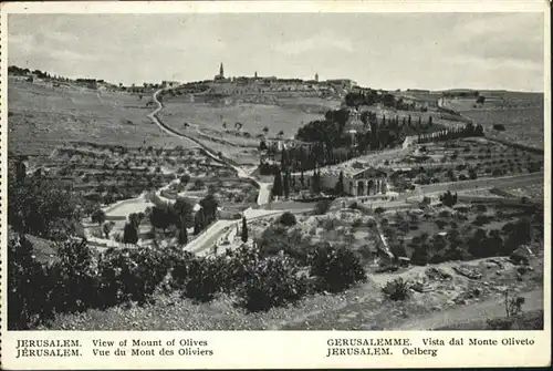 Jerusalem Yerushalayim Mount Olives / Israel /