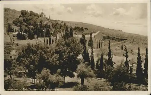 Jerusalem Yerushalayim Garden Gethsemane / Israel /