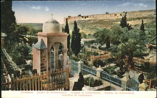 Jerusalem Yerushalayim Giardino Getsemane / Israel /