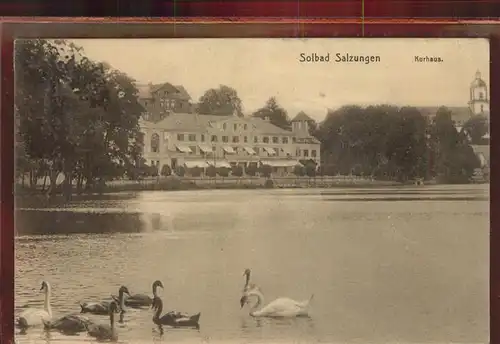 Bad Salzungen Kurhaus Burgsee Schwaene Kat. Bad Salzungen