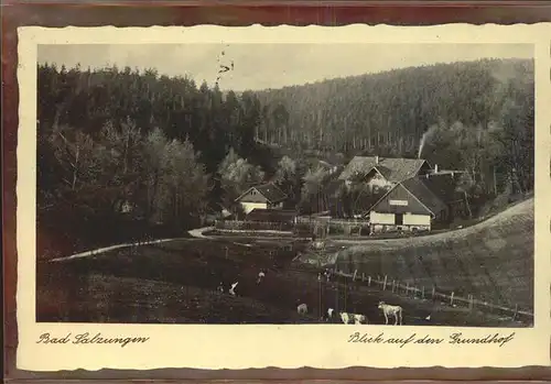 Bad Salzungen Blick auf den Grundhof Kat. Bad Salzungen