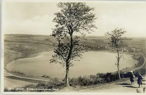 Daun Schalkenmehrener Maar x