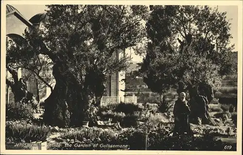 Jerusalem Yerushalayim Garden of Gethsemane / Israel /