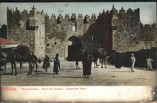 Jerusalem Yerushalayim Damaskustor Kamel  / Israel /