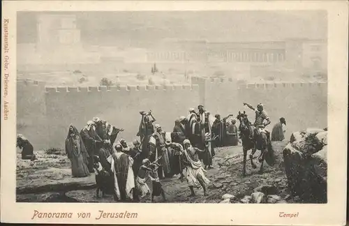 Jerusalem Yerushalayim Tempel Pferd / Israel /