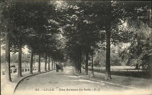 Lille Nord Avenue du Bois / Lille /Arrond. de Lille