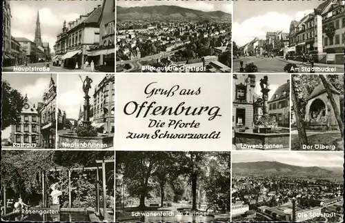 Offenburg Stadtbuckel
oelberg
Schwanenteich / Offenburg /Ortenaukreis LKR