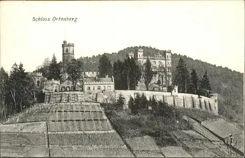 Offenburg Schloss Ortenberg / Offenburg /Ortenaukreis LKR